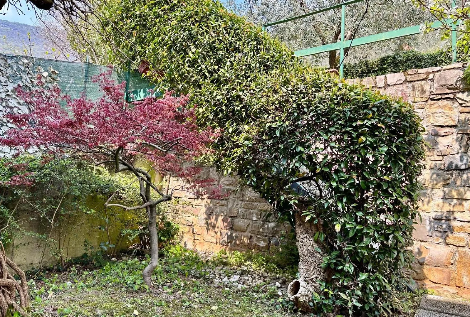 Casa Vacanza Monalba Sul Lago D'Iseo Predore Apartment